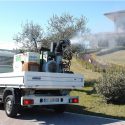 Cannone 2