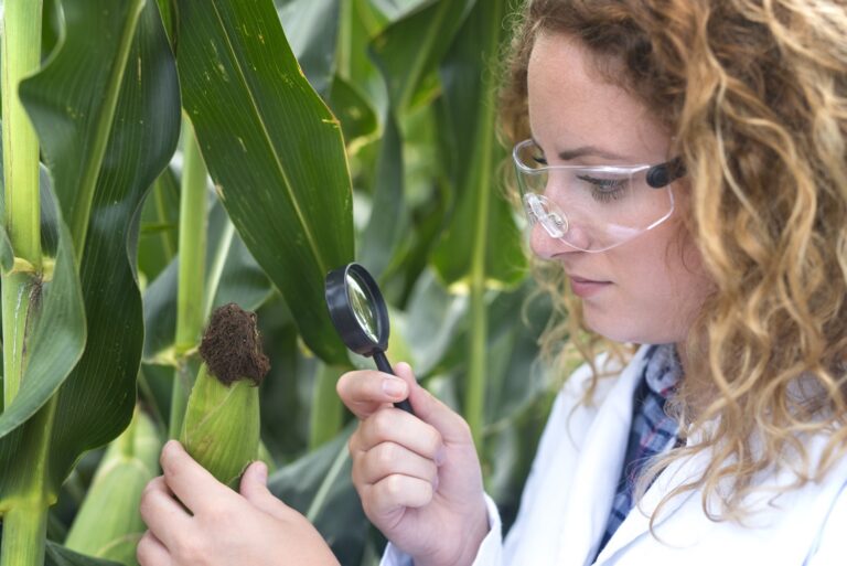 disinfestazioni agricole