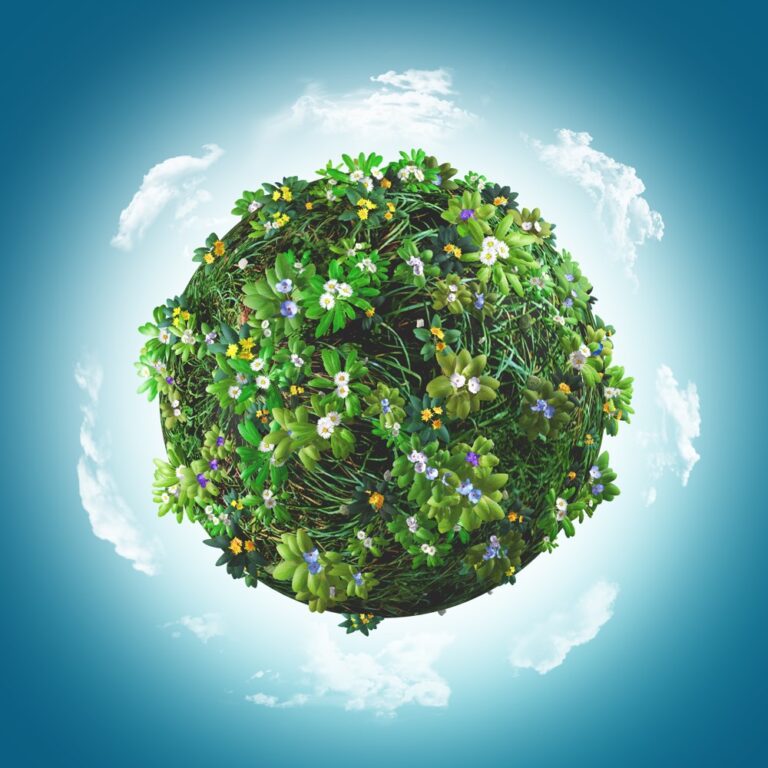 disinfestazione ecologica