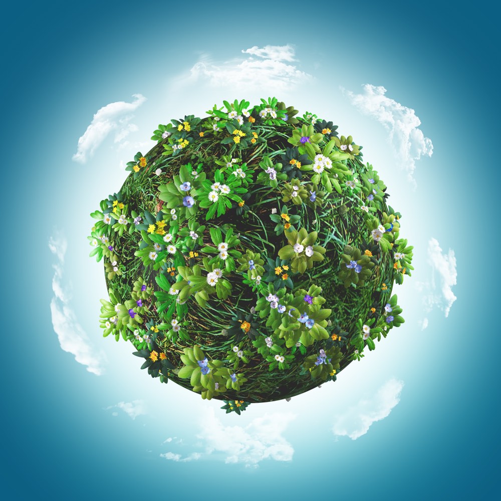 disinfestazione ecologica