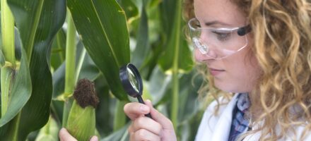 disinfestazioni agricole