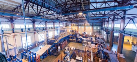 disinfestazione-industriale