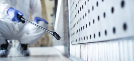 disinfestazione preventiva